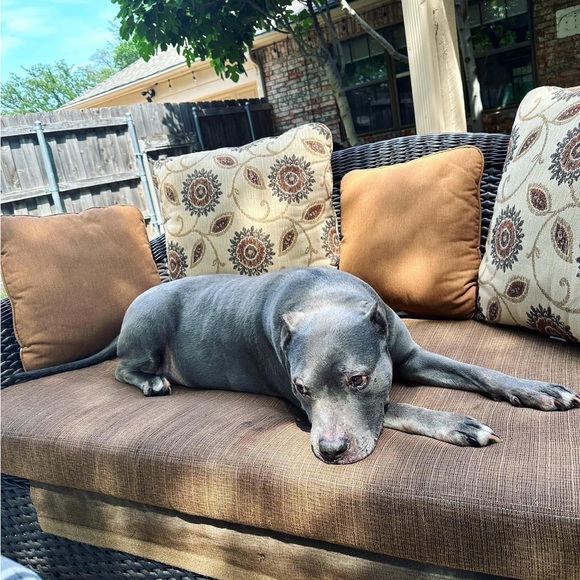 Meet your Posher, Lisa - Picture 3 of 3